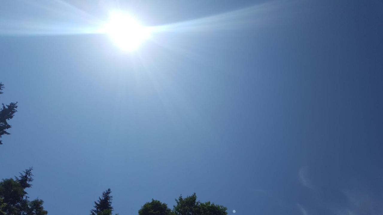 Lederer Haeus'L, Ferienwohnungen Ellmau Dış mekan fotoğraf